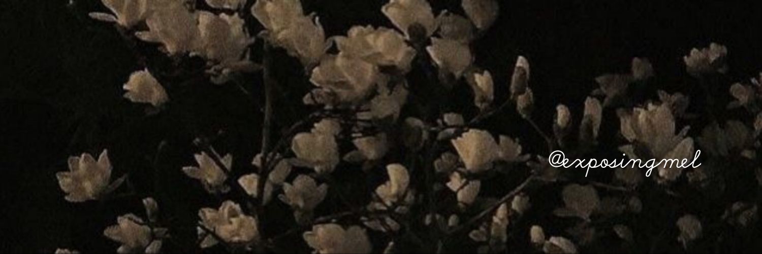 Exposing Melanie Martinez banner