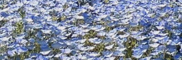 ri_pi_o Profile Banner
