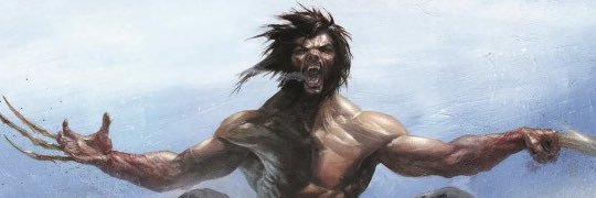 whittywolverine's profile banner image