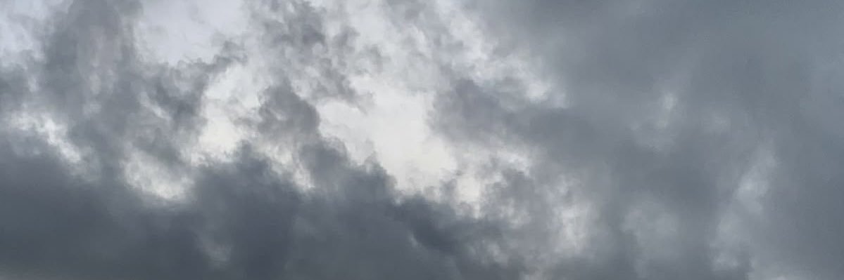 naghme🪭 banner