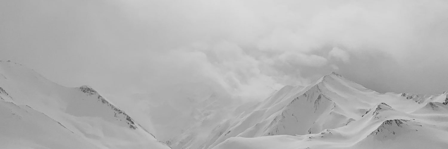 Cognis banner