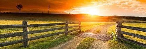 Sexytractorgirl's banner