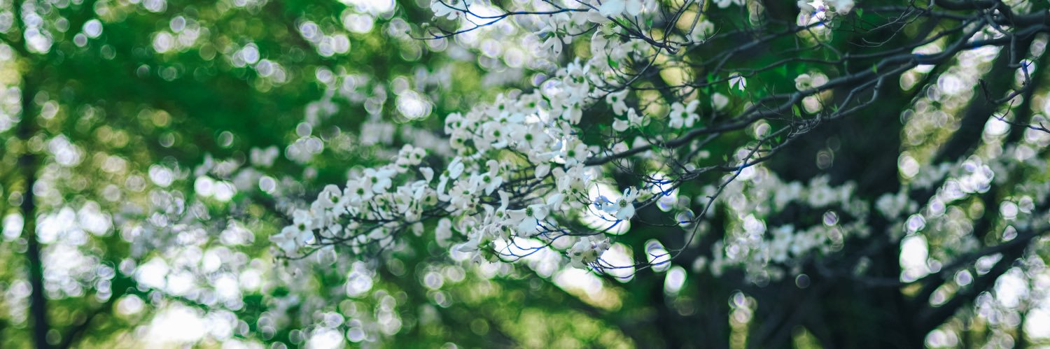📚 banner
