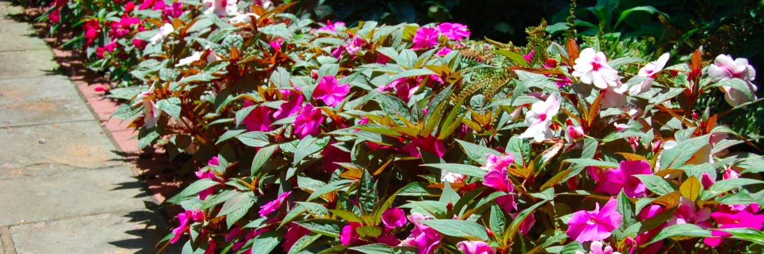 BrentwoodLandscapes banner