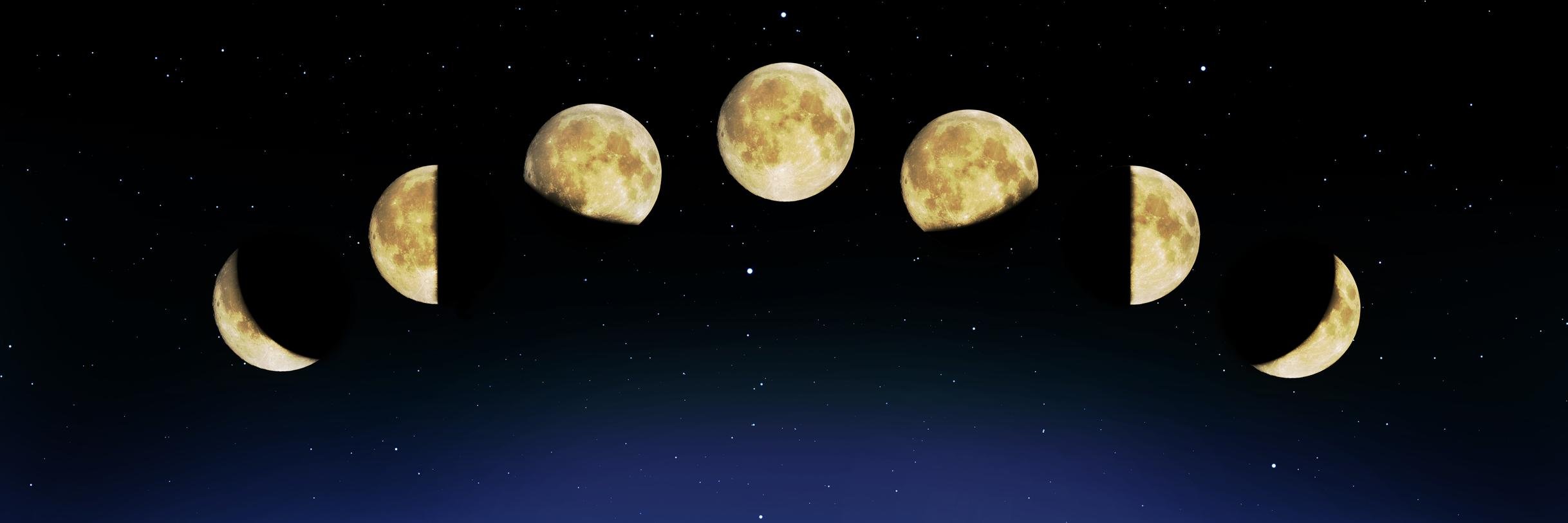 Susanlanda's profile banner image