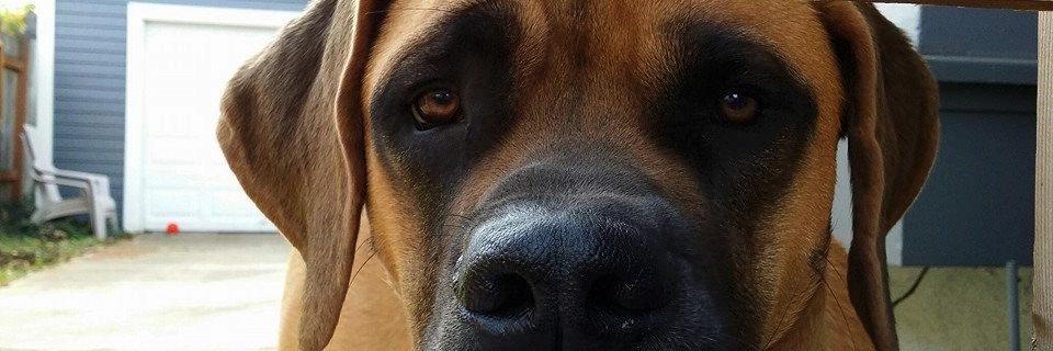 bran_N_on's profile banner image