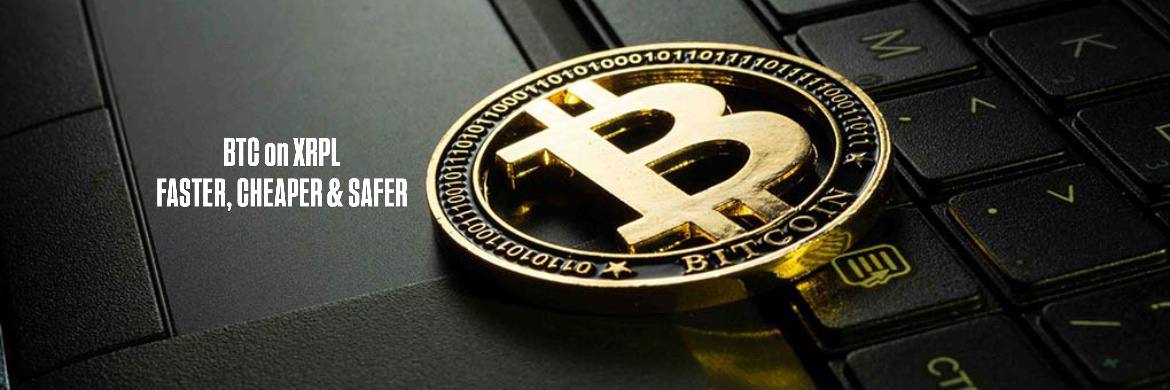 XRPLBITCOIN banner