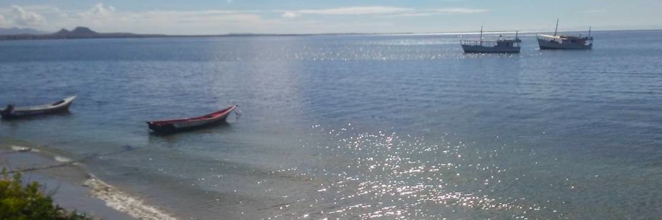 Gabriela Gonzalez banner