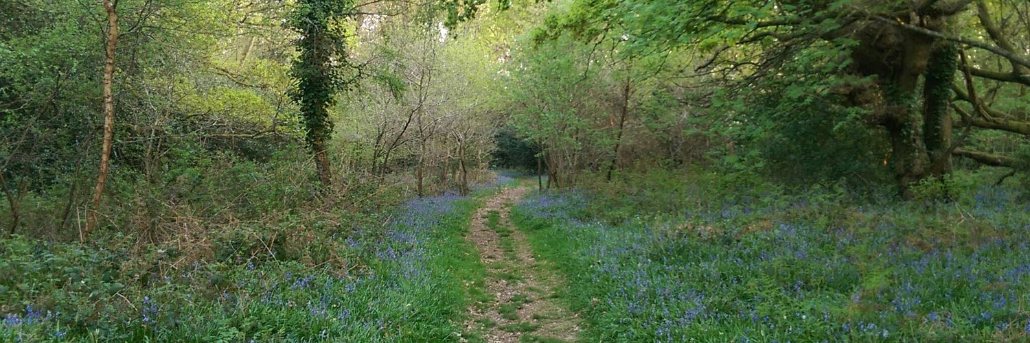 Ⓥ Not a stapler banner