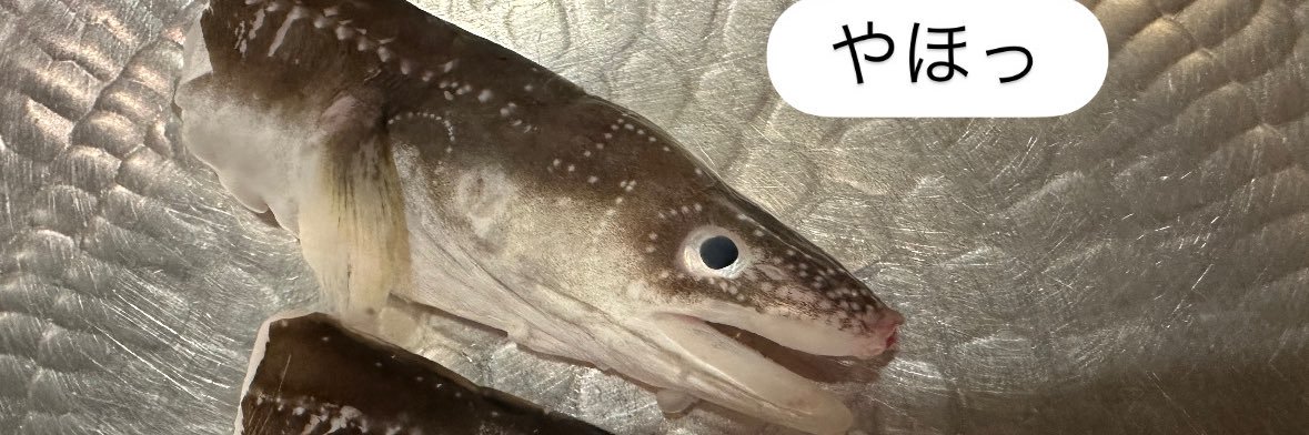 samepiyon's profile banner image