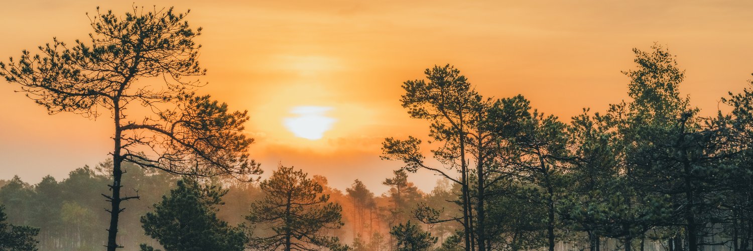 Estonia in France banner
