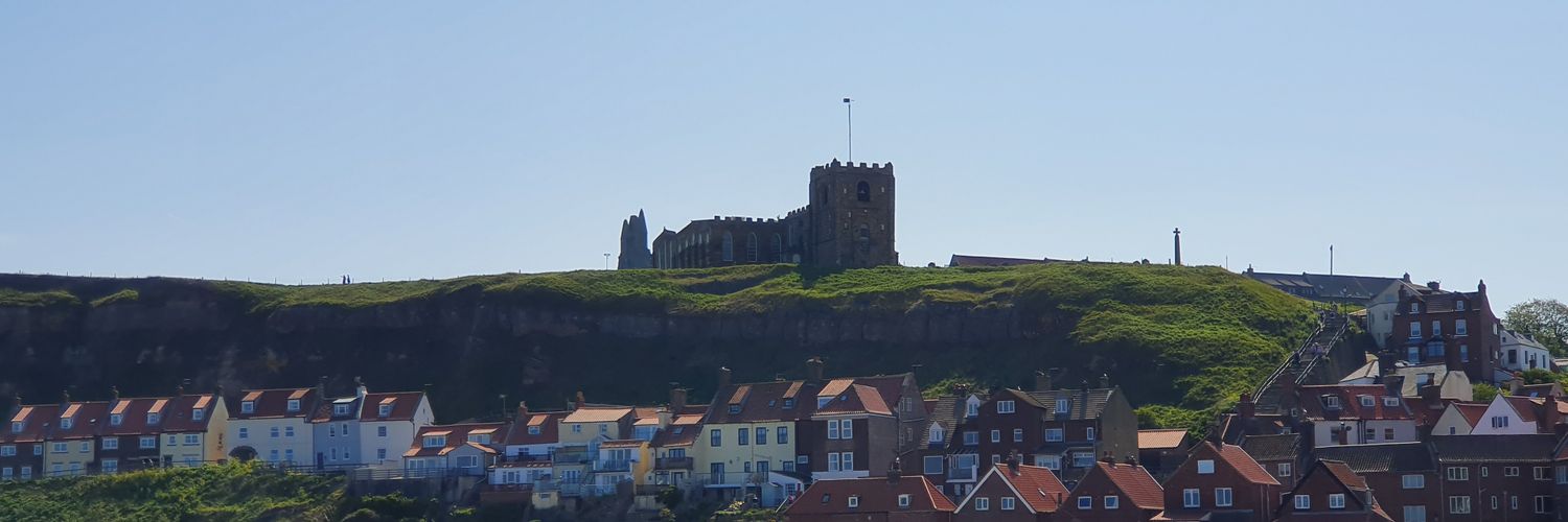 mcmickmac's profile banner image
