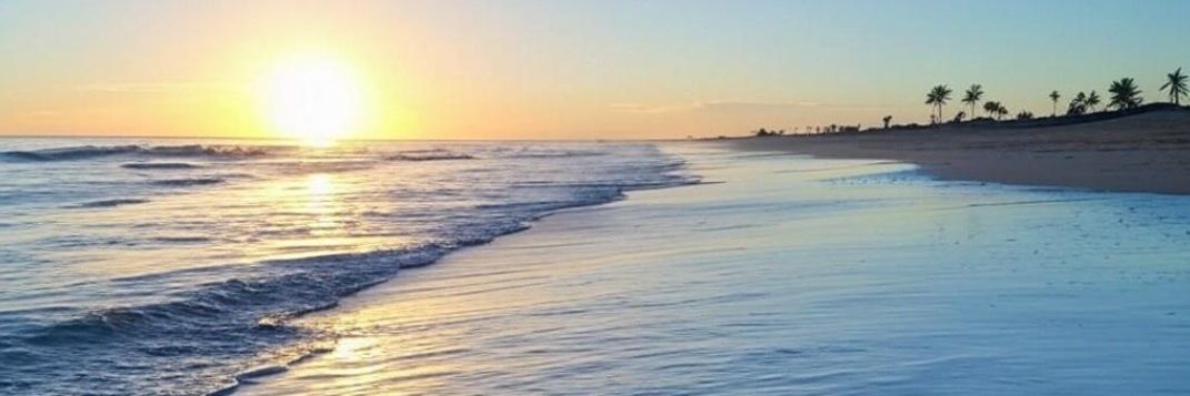 Alejandro HR Finance banner