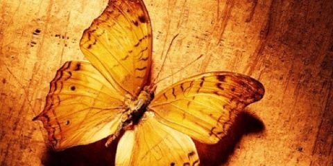 NabilaMarie's profile banner image