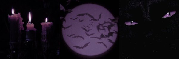 grapeleenoot Profile Banner