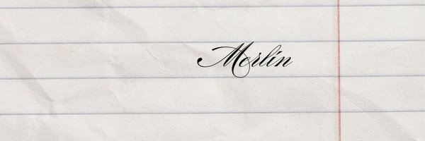 MerlinHorae Profile Banner