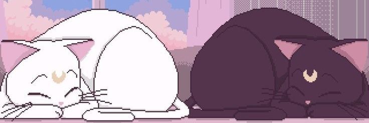 mellloou's profile banner image
