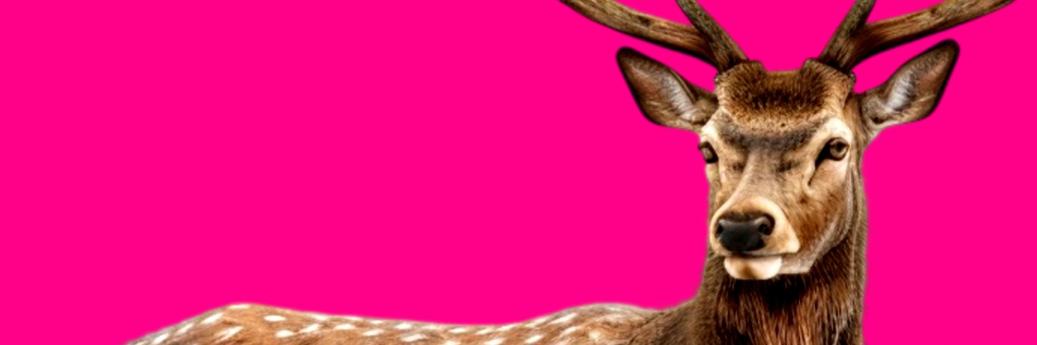 サラマンダー安田 banner