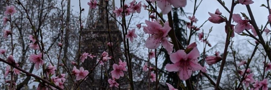 apatriziapesce's profile banner image