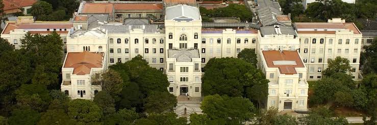 paivaˢᶜᶜᵖ banner