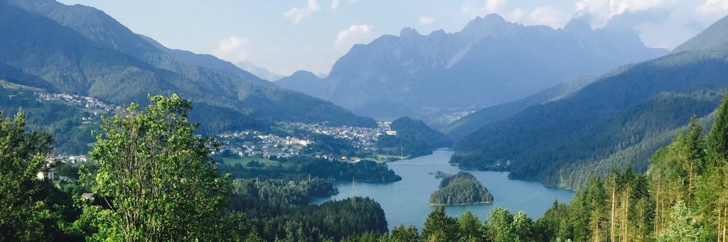 Federica Gallarotti banner
