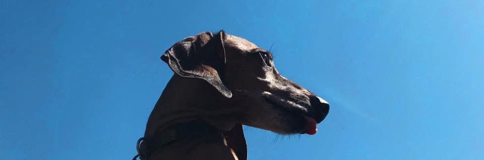 batradias's profile banner image