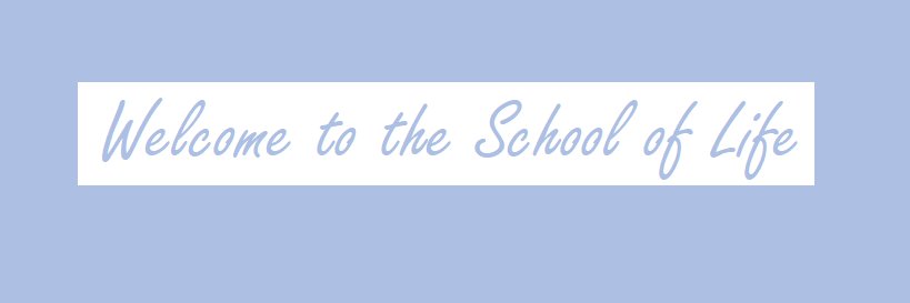 The Human Mirror 🌊 banner