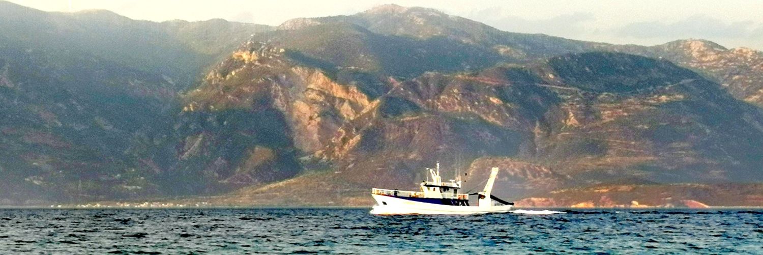 Michael Paraskevas banner