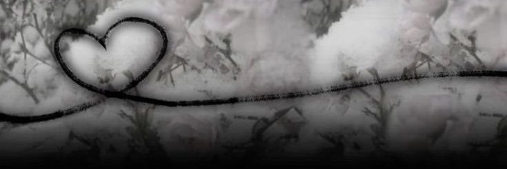 ❀⋆rene.ೃ࿔ banner