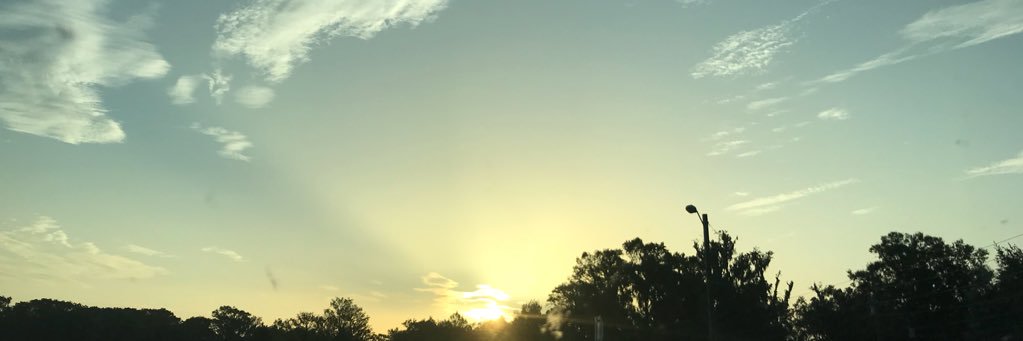 desireeace79's profile banner image