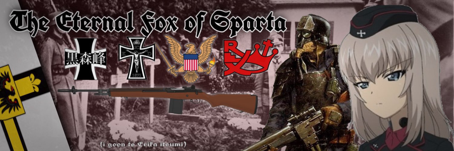 The Pvnished Fox Of Sparta 🇻🇦🇺🇸🇩🇪 🇬🇷 banner