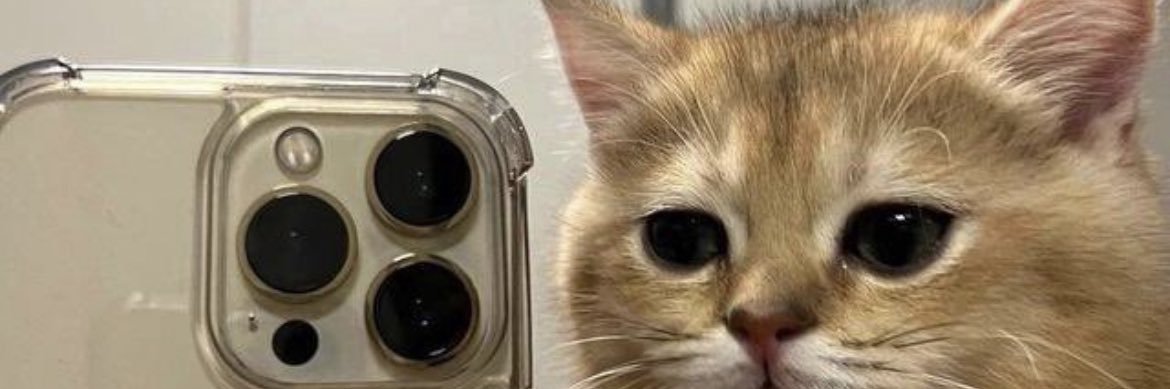 ennovy____'s profile banner image
