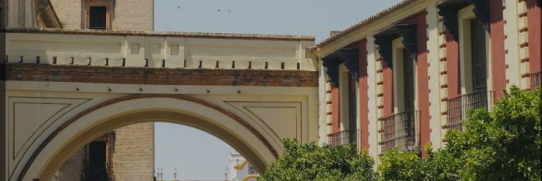 DOLORES BAUTISTA banner