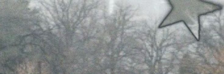 🖇️ niki ノcasey's banner
