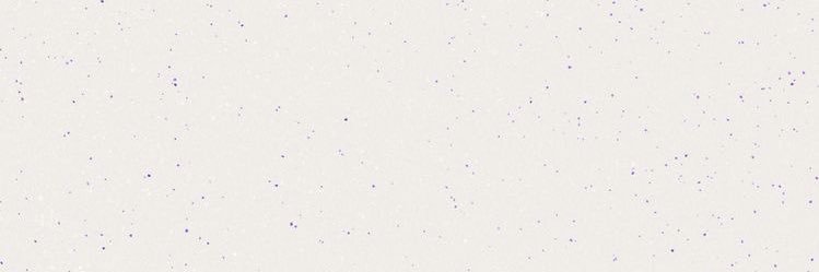 𝑡𝑚 ꗯ̤̮‎‎ banner