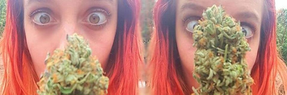 JDudamell's profile banner image