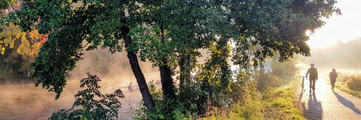 Aileen Fallon banner