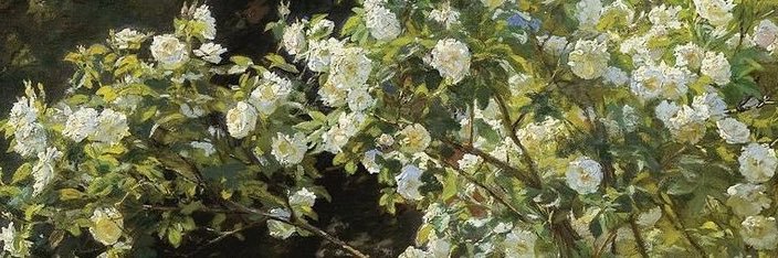 Iv_ell2's profile banner image