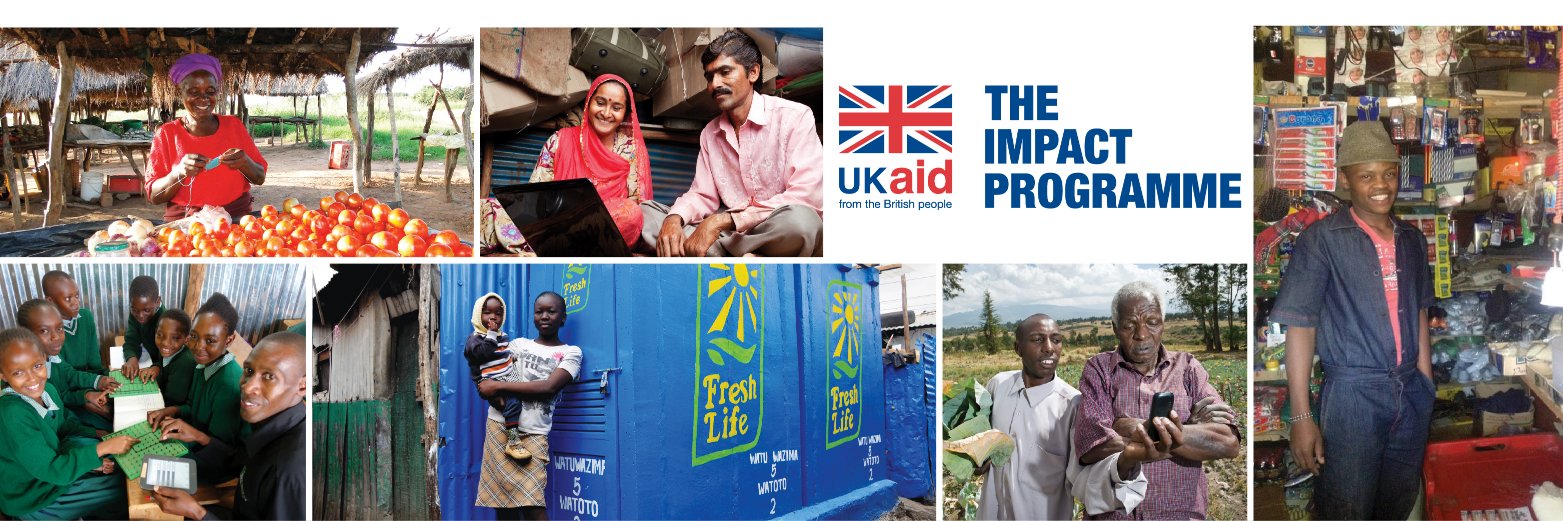 The Impact Programme banner