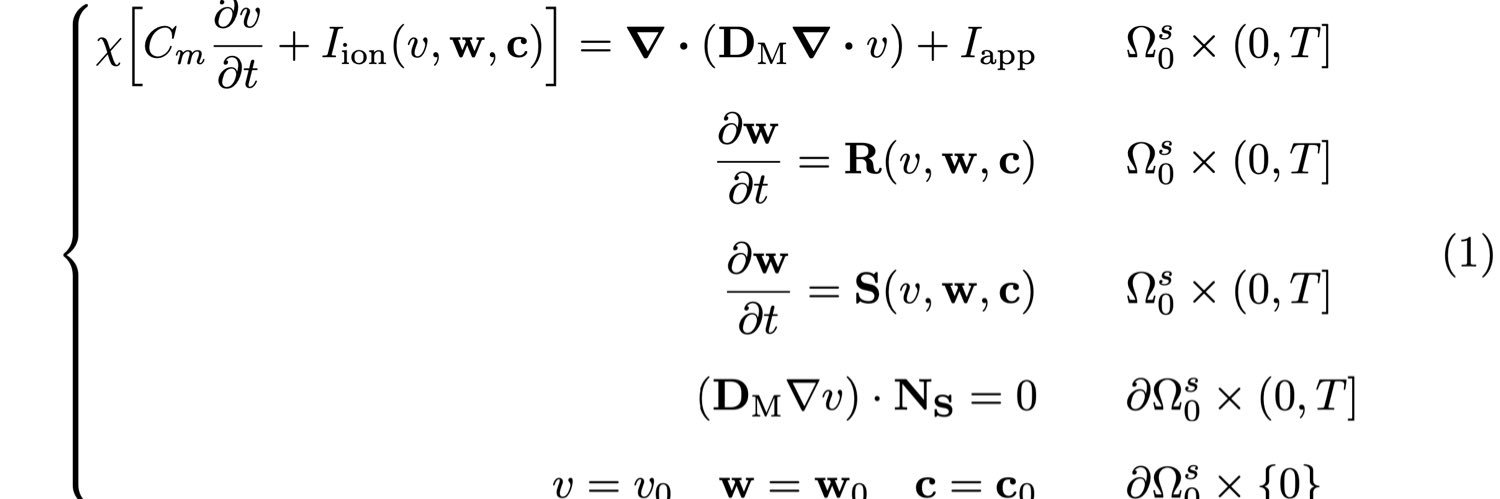 Stochastic Frog💮🧮 banner