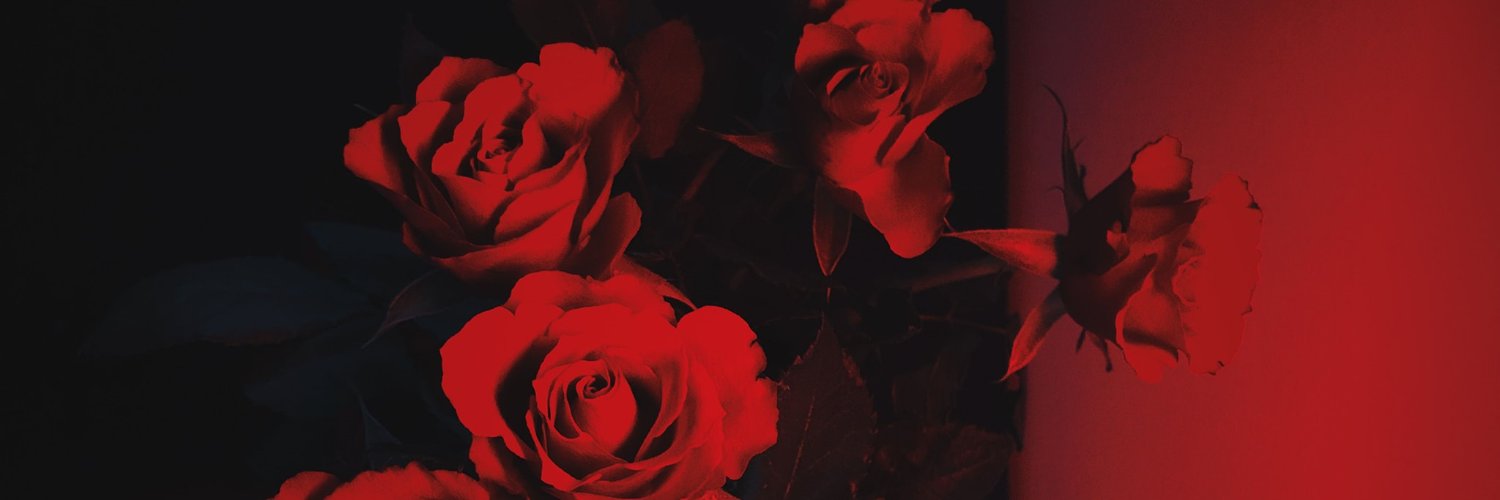 Roxxelex's profile banner image