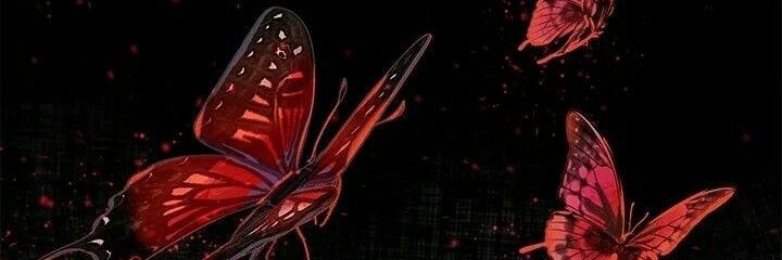 Roxie 🦋 banner