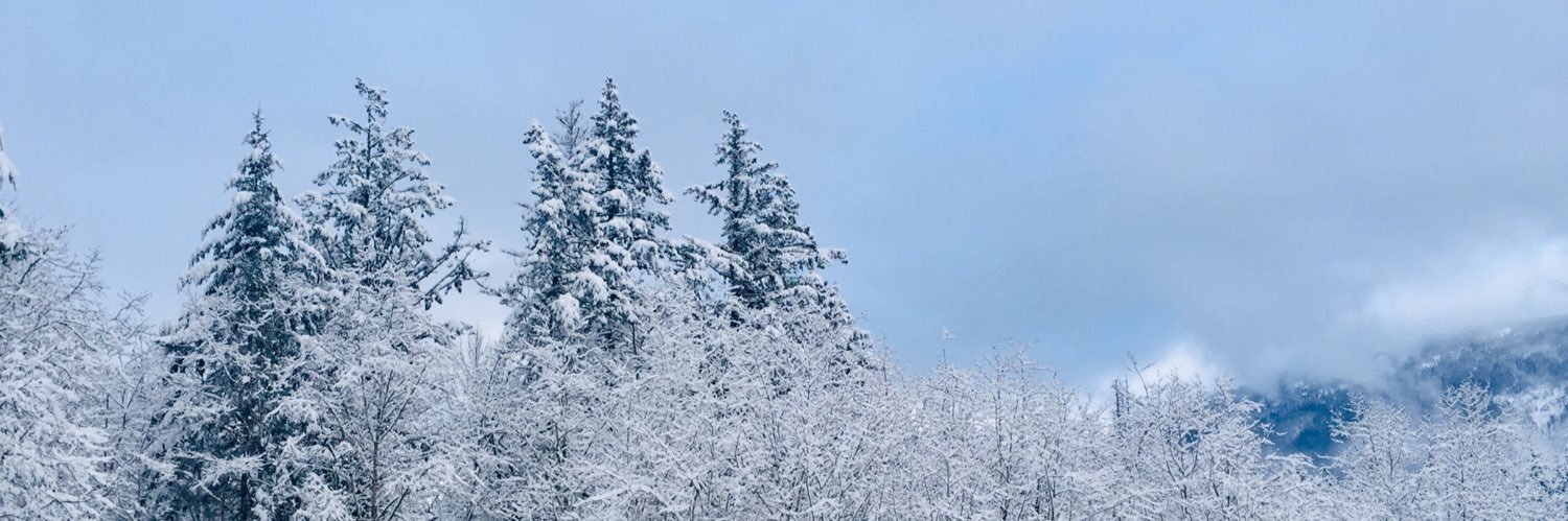 roykathygs's profile banner image
