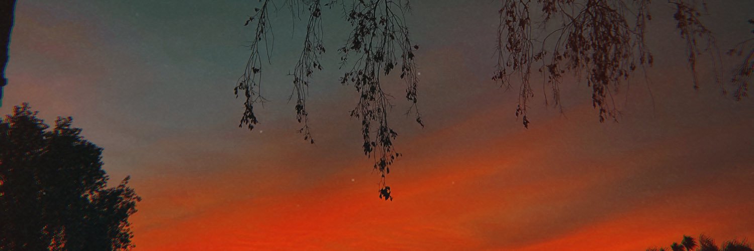 anna_mac's profile banner image