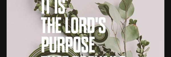 DaveBrowney Profile Banner