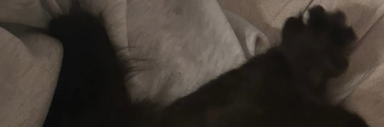 ilwanabeyours's profile banner image
