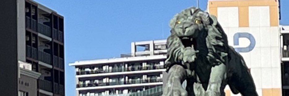 ryokufu's banner