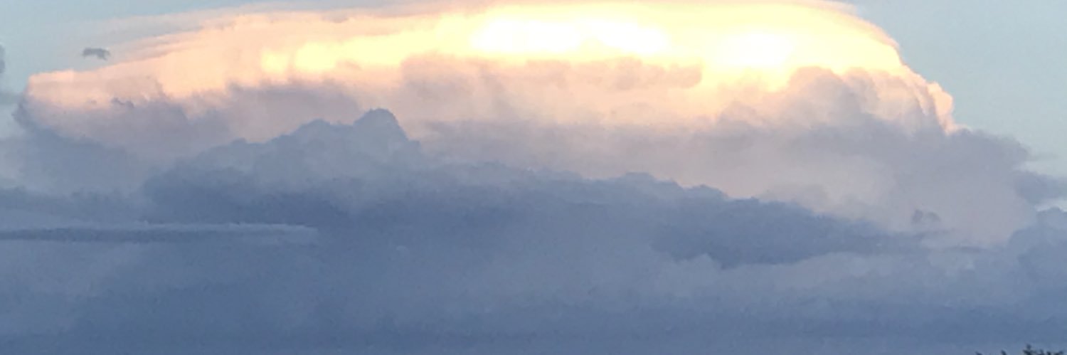 Louis Bossaer banner