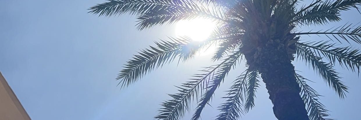 kaceydraper's profile banner image