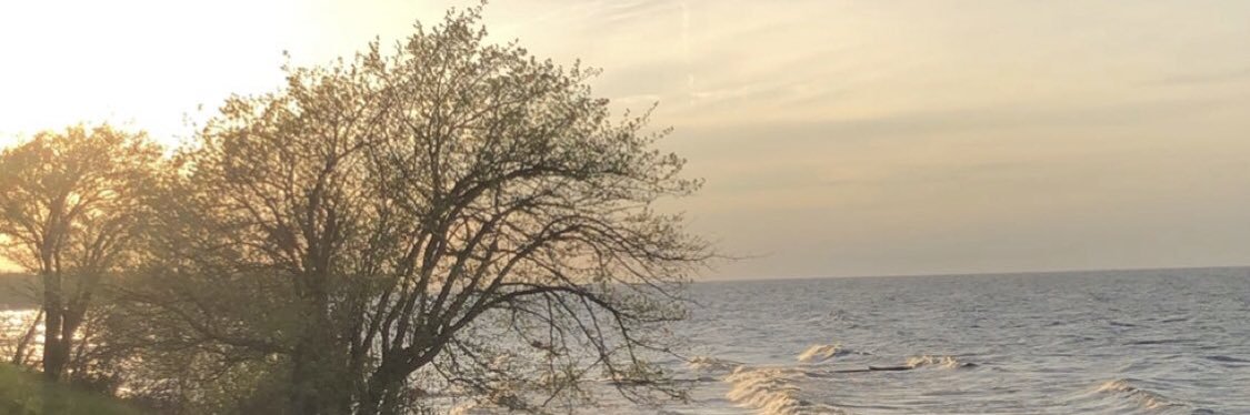 Hsims77's profile banner image